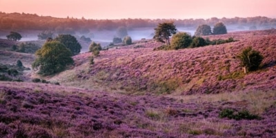 Uitvaart centraal Gelderland