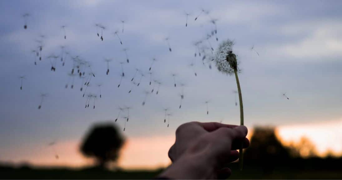 Wat te doen bij overlijden thuis? Stappenplan voor nabestaanden