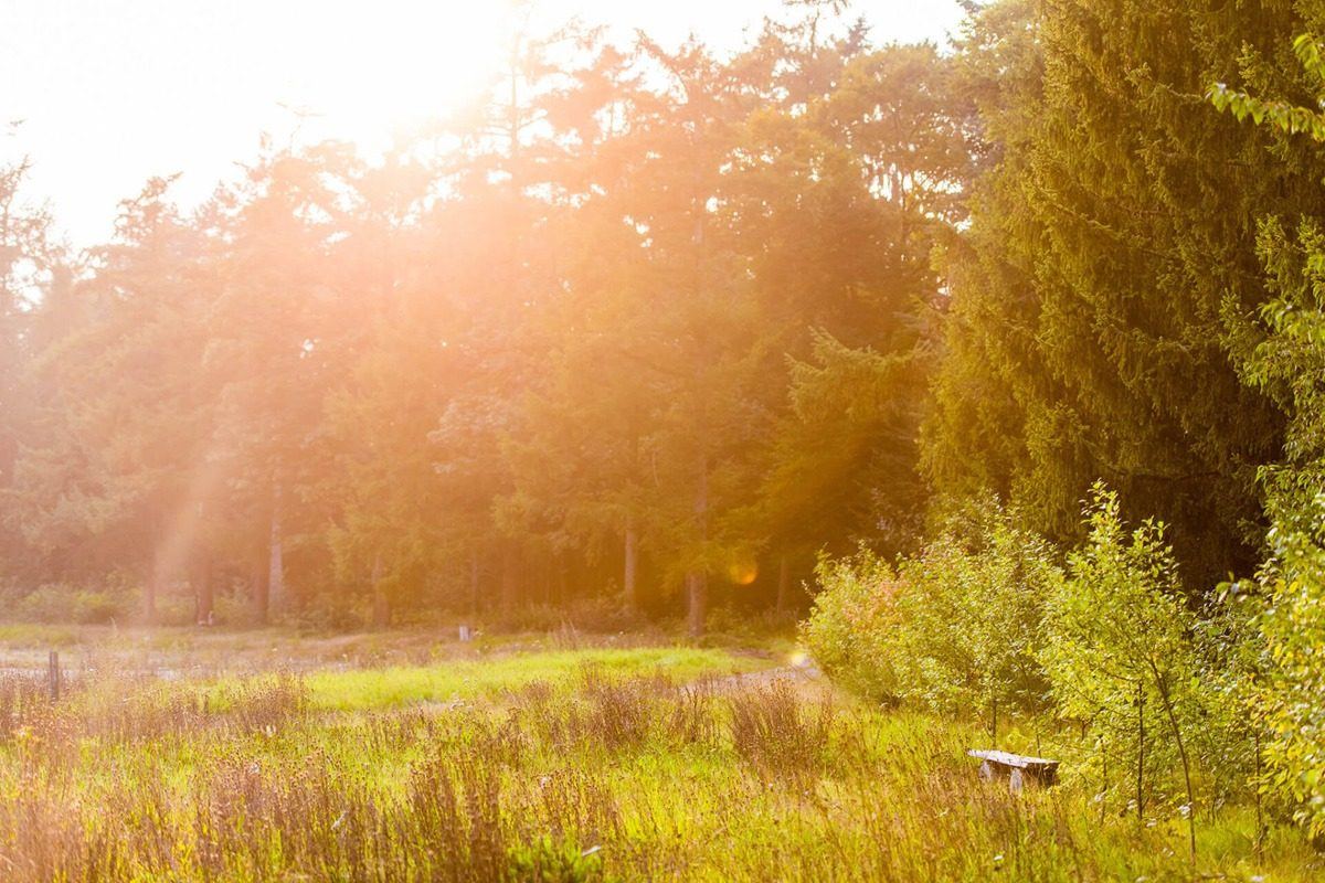 Uitvaartondernemer Tiel