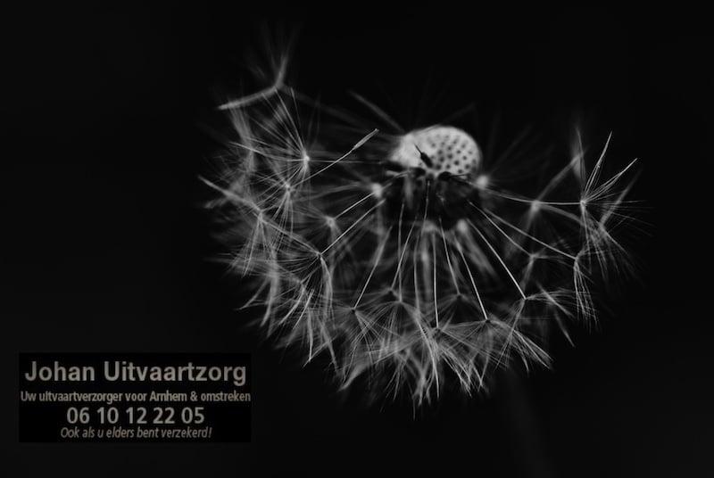 Hoe we zorgen dat elke uitvaart waardig en persoonlijk verloopt